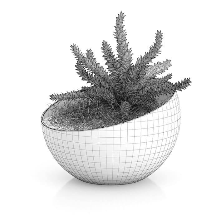 Plant in Sphere Glass Pot