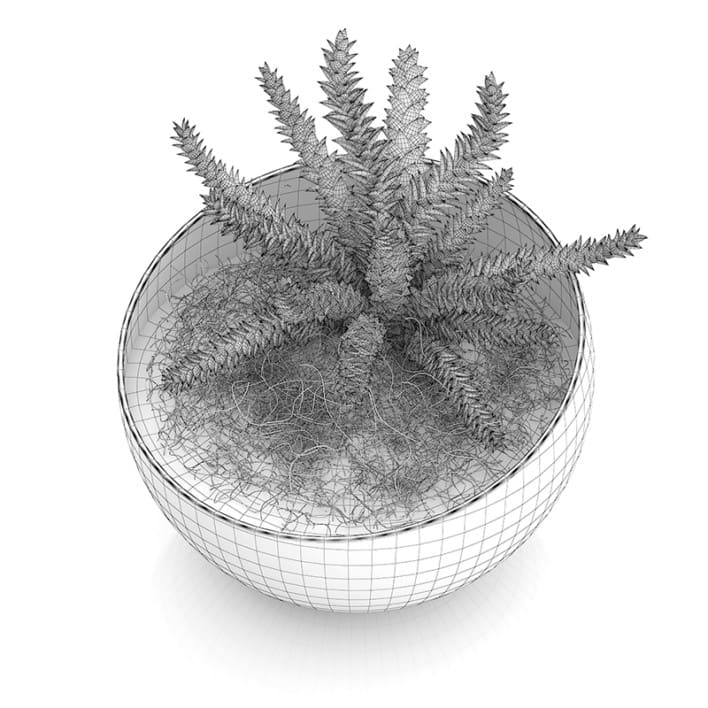 Plant in Sphere Glass Pot