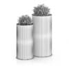 Two Plants in Large Pots