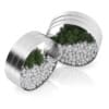 Two Plants in Round Metal Pots