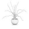 Plant in Black Wooden Pot