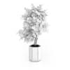 Bonsai Tree in Grey Pot