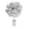Small Tree in White Pot