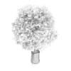 Small Tree in White Pot