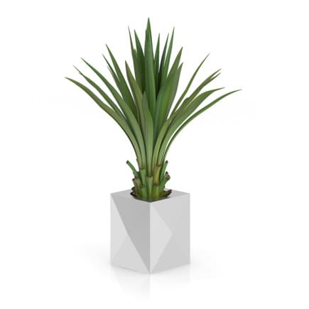 Small Palm in Metal Pot