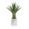 Small Palm in Metal Pot