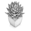 Small Plant in White Pot 1