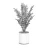 Plant in Round Pot