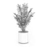 Plant in Round Pot