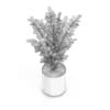 Plant in Round Pot