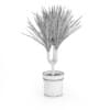 Palm Tree in Round Pot 2