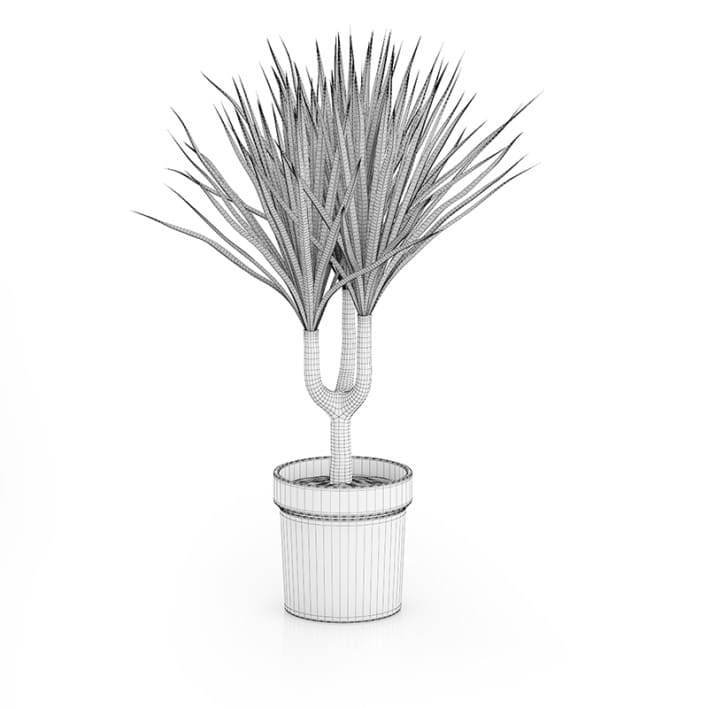 Palm Tree in Round Pot 2