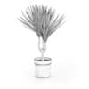 Palm Tree in Round Pot 2