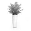 Palm Tree in Round Pot 4