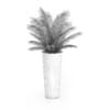 Palm Tree in Round Pot 4