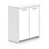 Black Wood Cabinet with Doors