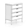 Wooden Cabinet with Metal Frame