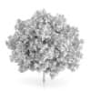 Rowan Tree (Sorbus aucuparia) 3m
