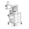 Anesthesia Delivery System