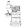 Anesthesia Delivery System