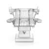 Gynecological Examination Table
