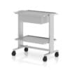 Hospital Table