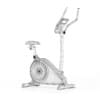 Stationary Magnetic Bike