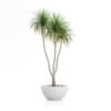 3D Plants IV - CGAxis Models Volume 60 - Image 16