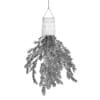 Plant in Inversed Hanging Planter - Image 4