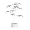 Plant in Concrete Pot - Image 6