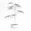 Plant in Concrete Pot