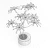 Plant in Concrete Pot