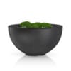 3D Plants IV - CGAxis Models Volume 60 - Image 19