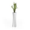 3D Plants IV - CGAxis Models Volume 60 - Image 20