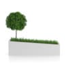 3D Plants IV - CGAxis Models Volume 60 - Image 21