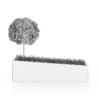 Tree an Grass in Rectangular Planter