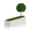 Tree an Grass in Rectangular Planter