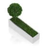 Tree an Grass in Rectangular Planter