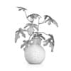 Fig Plant in Glass Vase