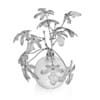 Fig Plant in Glass Vase