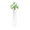 3D Plants IV - CGAxis Models Volume 60 - Image 23