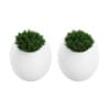 3D Plants IV - CGAxis Models Volume 60 - Image 24
