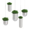 3D Plants IV - CGAxis Models Volume 60 - Image 25