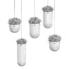 Plants in Metal Hanging Pots