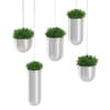 Plants in Metal Hanging Pots