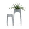 3D Plants IV - CGAxis Models Volume 60 - Image 26
