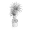 Potted Dracena Plant