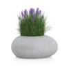 Grass with Flowers in Concrete Pot