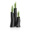 3D Plants IV - CGAxis Models Volume 60 - Image 30