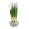 3D Plants IV - CGAxis Models Volume 60 - Image 31